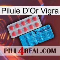 Vigra Gold Pill new14